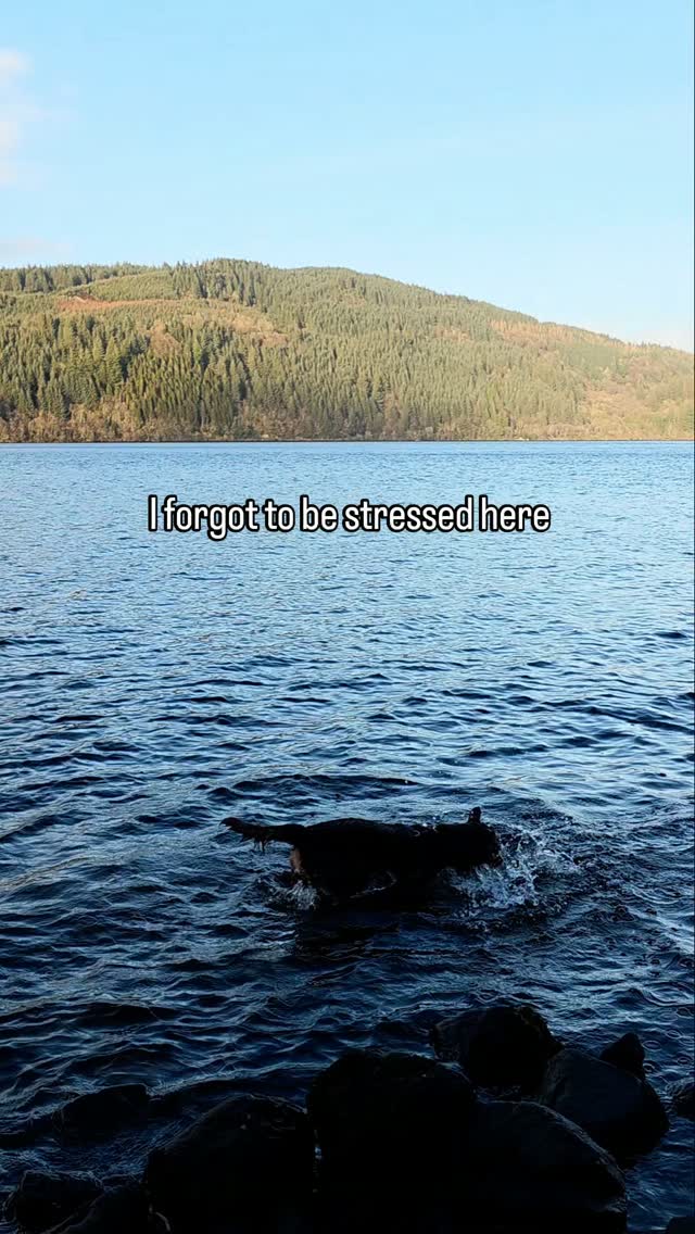 Feral Therapy