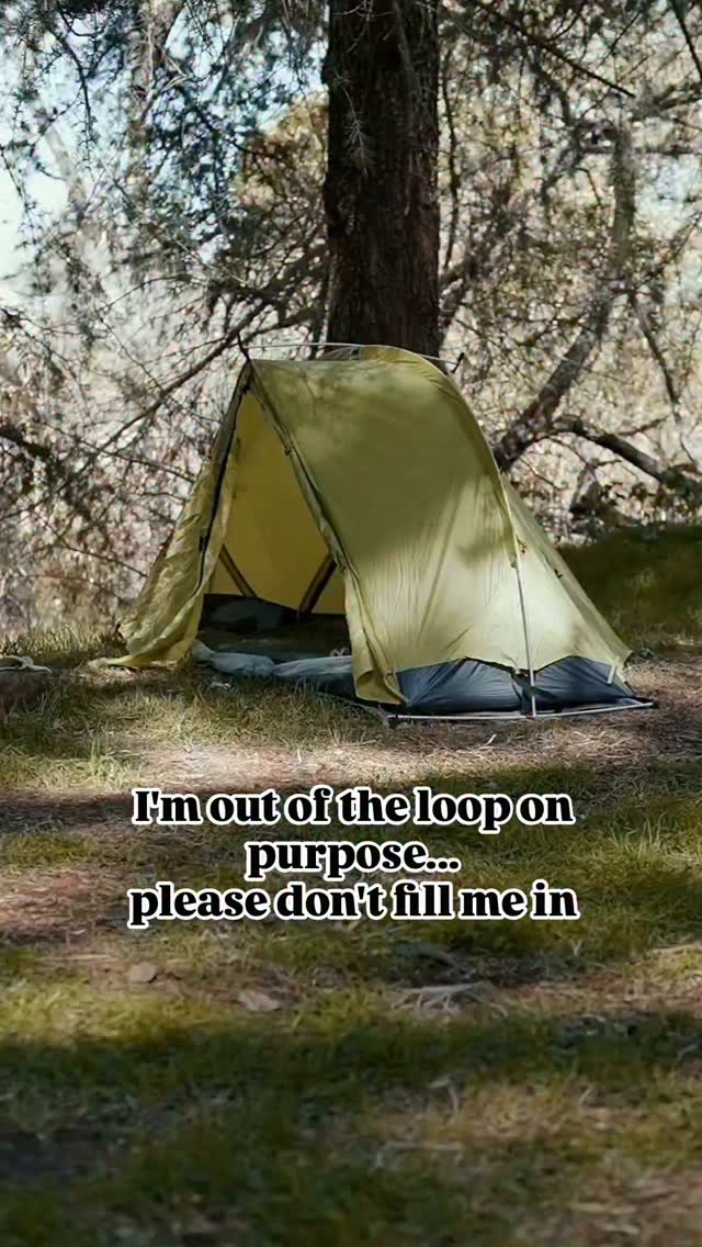 Feral Therapy