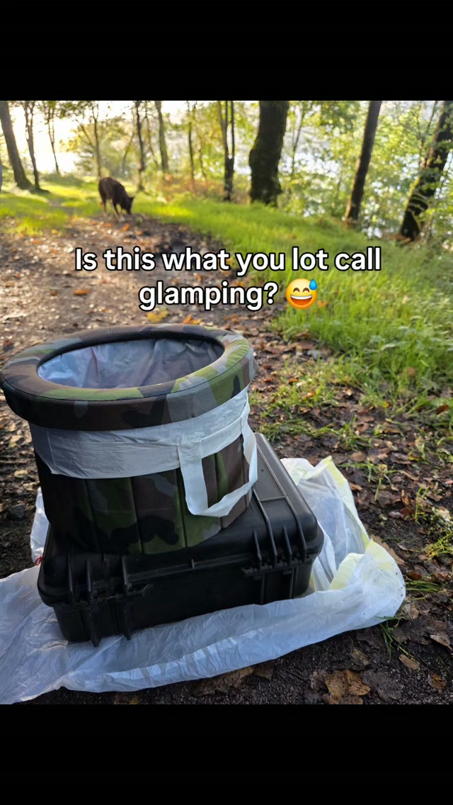 Feral Therapy