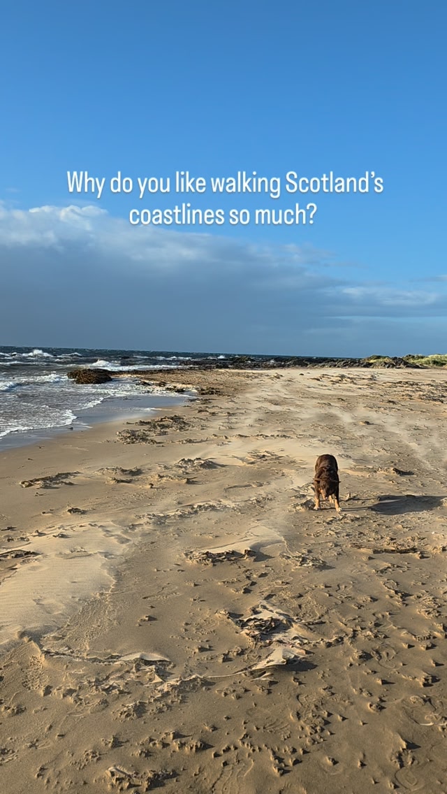 Feral Therapy